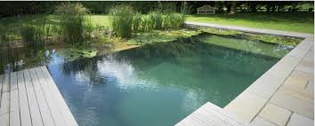 Sitting water also invites lots of other small flying insects to the garden. Natural Ponds And Natural Swimming Pools