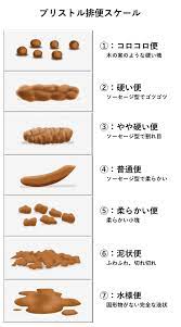 観便のすすめ：精神栄養学☆事始め⑤｜医療法人瑞枝（みずえ）会クリニック｜京都市中京区丸太町のうつ病・精神科医