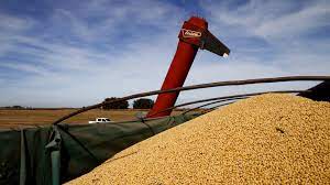 images?q=tbn:ANd9GcRYgmyIlbOzmjfsMovCbhCPrlGbfRu9VeLTs9vVrjmfjY7fZcPst8ffBV6Q9bpMveuR6-M&usqp=CAU