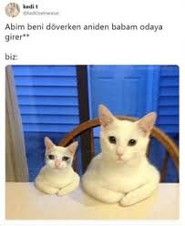 Keziban Isildak Adli Kullanicinin Komik Seyler Panosundaki Pin 2020 Komik Kizlar Komik Seyler Komik Capsler
