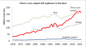 Dim Sums Rural China Economics And Policy China Corn V