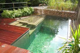 natural swimming pools 9 myths busted myth 1 they re expensive naturschwimmbad naturschwimmbecken hintergarten