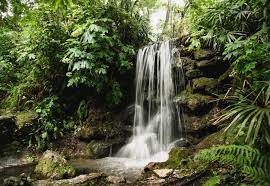 This map was created by a user. 8 Best Waterfalls In Florida Florida Rentals Blog