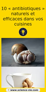 10 Antibiotiques Naturels Et Efficaces Dans Vos Cuisines Health The Cure Nutrition