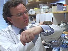 Non sono un cervello in fuga, ma qui non sarei stato libero