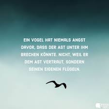 Ein Vogel Hat Niemals Angst Davor Dass Der Ast Unter Ihm Brechen Konnte Nicht Weil Er Dem Ast Vertraut Sondern Seinen Eigenen Flugeln Spruche Tiefgrundige Spruche Weisheiten Spruche