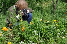 Saisir L Instant De Jackie Fourmies Aux Editions Feuillage Aveyron Rodez Le Petit Journal