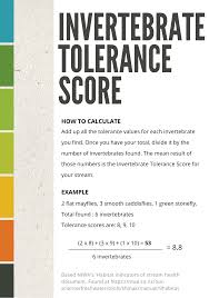 Invertebrate Tolerance Scores In 2020 Invertebrates Tolerance Water Quality