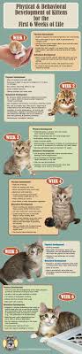 In addition, they are still developing vision and leg coordination. Physical And Behavioral Development Of Kittens Future Tech Veterinary Technician Cat Care Kittens Cats