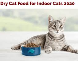 The best cat food brands for indoor cats offer both wet and dry food options, as well as september 18, 2020 at 8:55 am. Best Dry Cat Food On Behance