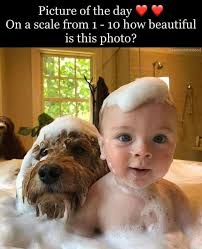 LAUGH WITH THE LADIES (THE ORIGINAL)