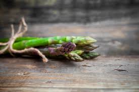 Image result for Asparagus macowanii