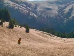 Third party downloads and distribution is not permitted. Downhill Skiing On Grass French Skier Candide Thovex Blows Minds In New Audi Ad Calgary Herald