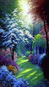 Maybe you would like to learn more about one of these? 480 Nature Gifs Ideas Nature Scenery Beautiful Nature