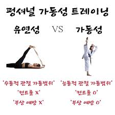 유연성 가동성 어떤 차이가 있을까? ⠀ 유연성은 '수동적 관절 가동범위'를 뜻합니다. ⠀ 가동성은 '능동적 관절 가동범위'를 뜻합니다.  ⠀ 가동성 = 유연성 + 근력 즉, '컨트롤'의 개념이 들어가 있습니다. ⠀ 이는 유연성 훈련이