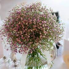 Pin On Gardening
