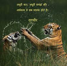 Randhir Zala Wildlife Animals Animals Wildlife