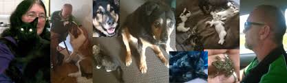 Check our website for times and locations nearest to you under pet med schedules. Hours Of Operation Paws Mobile Pet Vet