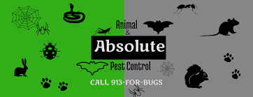 For kansas city tree removal, we recommend arbor care: Absolute Animal Pest Control Home Facebook