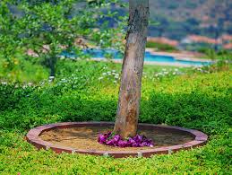 Many commercially sold borders are the worst offenders, having a sharp plastic top edge. Pin By Argee Corporation On Lets Edge It Brick Edging Lawn And Garden Lawn Edging