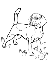 Select one of 1000 printable coloring pages of the category adult. Free Beagle Coloring Page Horse Coloring Pages Puppy Coloring Pages Dog Coloring Page