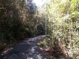 We went to the left. Gunung Jerai Gunung Bagging