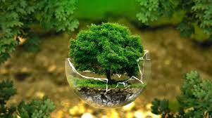 Oggi è la giornata mondiale dell'ambiente, una ricorrenza istituita dalle nazioni unite per sensibilizzare l'opinione pubblica su temi ambientali globali e per promuovere una serie di buone pratiche in grado di generare un impatto positivo esponenziale sul pianeta. Ss27tjerfdojim