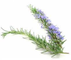 Rosemary Substitutes Ingredients Equivalents Gourmetsleuth Under Eye Wrinkles Hair Loss Remedies Skin Cream Anti Aging