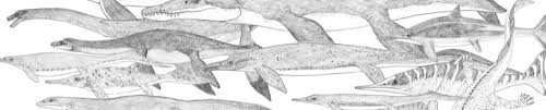 Sea Monster Sightings And The Plesiosaur Effect Tetrapod Zoology Cartography sea monsters medieval monster drawing medieval art weird creatures sea creatures ancient maps art. tetrapod zoology