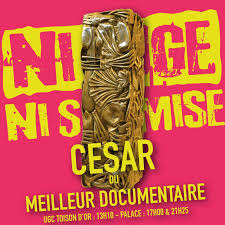 Pendant 3 ans les réalisateurs ont suivi à bruxelles la juge anne gruwez au cours d'enquêtes criminelles, d'auditions, de visites de scènes de crime. Ni Juge Ni Soumise Home Facebook