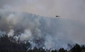 Check spelling or type a new query. La Superficie Afectada En El Incendio De Tenerife Se Reduce A 3 000 Hectareas Canarias7