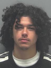 Lee County Arrests 11/1