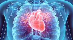 You can use this swimming information to make your own swimming trivia questions. What Is A Normal Cardiac Rhythm Called Trivia Questions Quizzclub