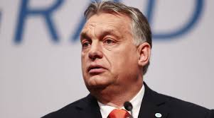 Bloomberg View Archive