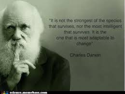 Umesh Dutt Sharma (umeshduttsharma)