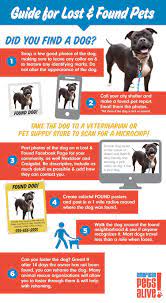 We did not find results for: American Pets Alive What To Do When You Find A Dog And The Shelter Is Closed