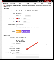 Dbs bank ltd branches, all branch addresses, phone, ifsc code, micr code, find ifsc, micr codes, address, all bank branches in india, for neft, rtgs, ecs transactions. How To Send Money To Us Gemini Exchange From Dbs Multiplier Singapore