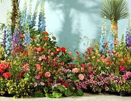 De zomerbloeiers kunnen ook wat drogere standplaatsen verdragen. Kleur Vrolijk Je Balkon Of Tuin Op Met Zomerbloeiers Barts Boekje