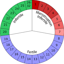 Rhythm Method Fertility Awareness Women Health Info Blog