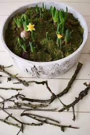Fruhlingsdeko Selber Machen Mit Naturmaterialien Moos Fruhlingsbluher Zweige Dekoidee Fruhling Tischdeko Naturlich Basteln Aleda Moore Naturmaterialien Moos Fruhlingsdeko