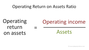 We did not find results for: Operating Return On Assets Ratio Plan Projections