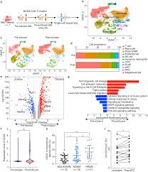Image result for Pimpinella sp. A. of FZ 4: 594