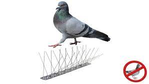Più votati 10 degli italia deterrente per gatti del 2019. Dissuasori Per Piccioni Spuntoni Per Pluviali Dissuasori Piccioni Spuntoni