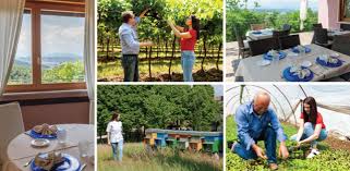 L'antica trattoria al sole fa parte del guppo di ristoranti aderenti a le buone tavole dei berici. Grandi Storie Di Piccoli Borghi Alla Scoperta Dei Tesori Dei Colli Berici Terra Di Bellezze Artistiche Storiche E Naturali Pochi Chilometri A Sud Di Vicenza