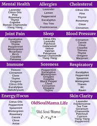 Pin On Holistic Health