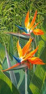 Birds Of Paradise Birds Of Paradise Flower Paradise Painting Birds Of Paradise