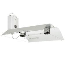 A chinese immigrant who moved to america to escape japanese persecution. Adjust A Wings Pack Full Hellion Avenger Wide 600 750w Adjust A Wings 679 00 Culture Indoor