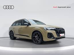 Image result for Vicuna Beige 2023 Q7
