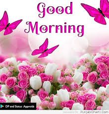 good morning photo के लिए इमेज परिणाम