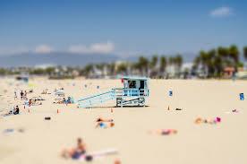 The Beach Venice Beach